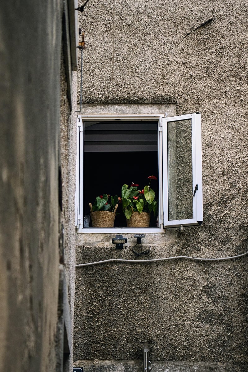 Indoor Gardening
